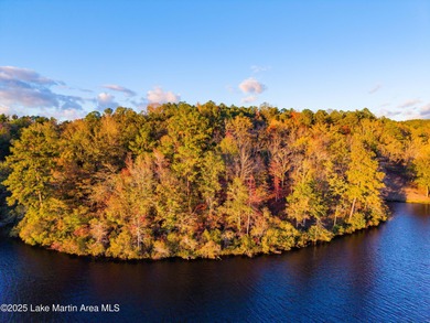 Welcome to Yates Lake! With 21 +/- acres and 2,000 +/- of - photo 8