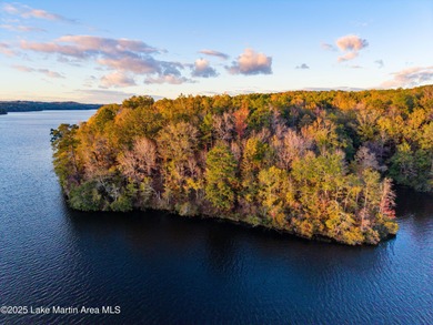 Welcome to Yates Lake! With 21 +/- acres and 2,000 +/- of - photo 9