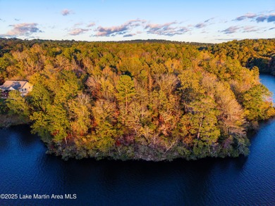 Welcome to Yates Lake! With 21 +/- acres and 2,000 +/- of - photo 10