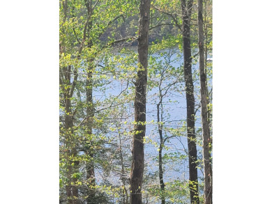 Unrestriced lake lot at Smith Lake, on Rock Creek  approx 1/2 - photo 3