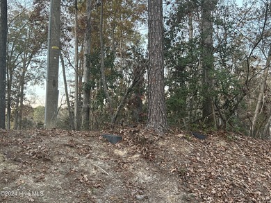Thagards Lake Lot For Sale in Whispering Pines North Carolina