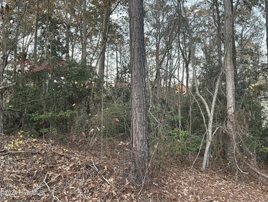 46 acres in Whispering Pines! Bring your builder or we can help - photo 3