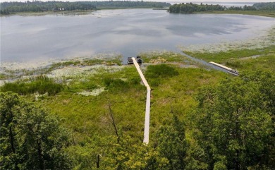 Lake Acreage For Sale in Woodrow Twp, Minnesota