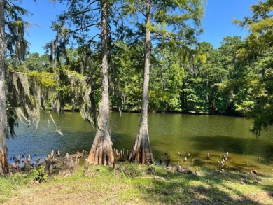 Lake Lot For Sale in Many, La, Louisiana