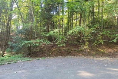 Lake Lot For Sale in Ellijay, Georgia