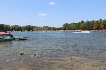 Jose Lake Lot For Sale in Plainfield Michigan