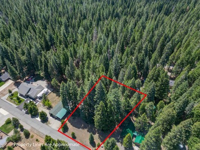 McCumber Reservoir Lot Sale Pending in Shingletown California