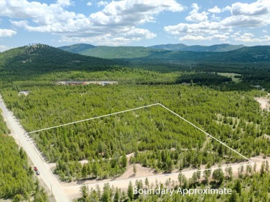 Little Bitterroot Lake Acreage Active Under Contract in Marion Montana