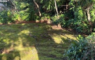 Build your dream coastal retreat on this .11-acre lot in the - photo 3