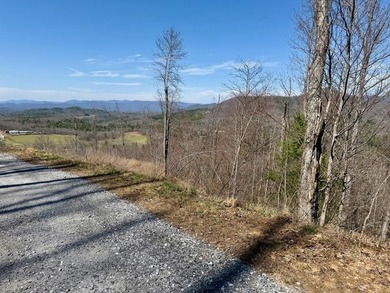 (private lake, pond, coastal) Lot For Sale in Brasstown North Carolina