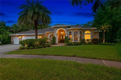 Lake Tarpon Home For Sale in Palm Harbor Florida