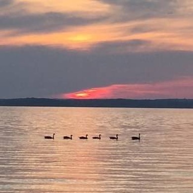 Welcome to your front-row seat on Kentucky Lake, where - photo 32