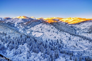 A custom luxury ski home and Forbes Five-star service await you - photo 39