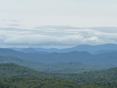 (private lake, pond, coastal) Lot For Sale in Brasstown North Carolina