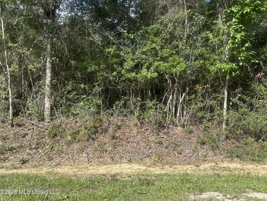Located near D'Iberville High School on Hwy 67 also with - photo 2