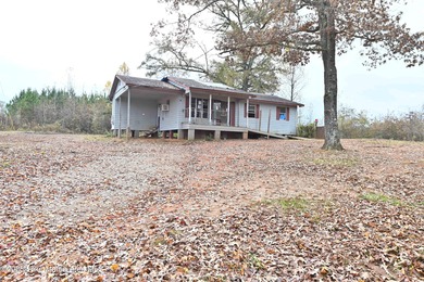 (private lake, pond, coastal) Home For Sale in Kellyton Alabama