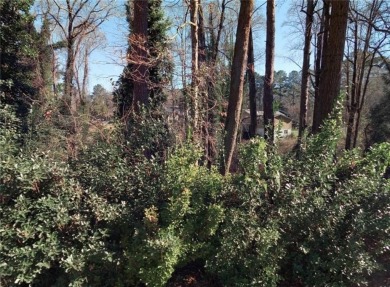 Lake Lot For Sale in Pine Lake, Georgia