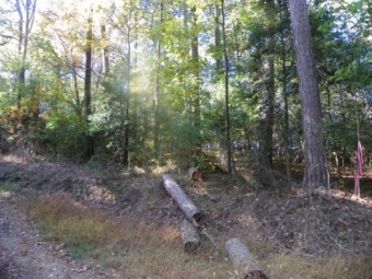 Vacant Lot In Pinehaven - Lake Lot For Sale in New London, North Carolina