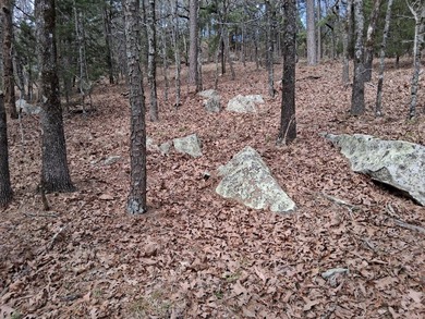 20 acres on WaterTower Rd that has electric, rural water, septic - photo 12