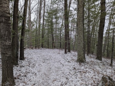 Lake Acreage For Sale in Lake City, Michigan
