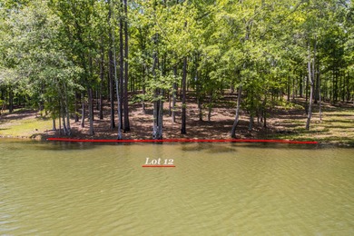 Lake Lot For Sale in Dadeville, Alabama