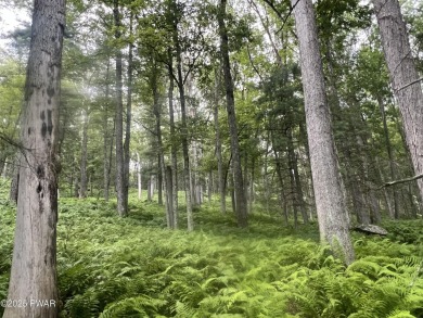 (private lake, pond, creek) Acreage Sale Pending in Narrowsburg New York