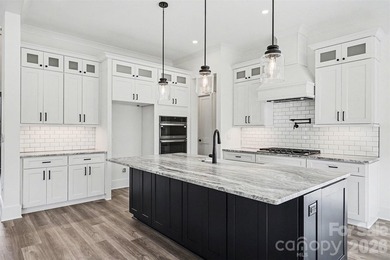 Experience elevated luxury living with year round Lake Norman - photo 12