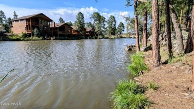 Lake Lot For Sale in Lakeside, Arizona