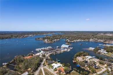 Located on the coveted spring-fed headwaters of Crystal River - photo 2