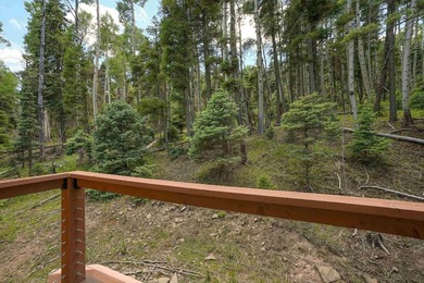 Nestled among the tall pines of Angel Fire, this warm and - photo 41