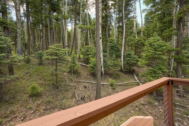 Nestled among the tall pines of Angel Fire, this warm and - photo 42