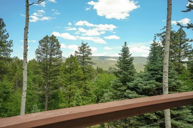 Nestled among the tall pines of Angel Fire, this warm and - photo 47