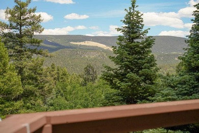 Nestled among the tall pines of Angel Fire, this warm and - photo 48