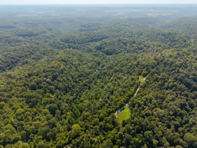 (private lake, pond, creek) Acreage For Sale in Lewisville Ohio