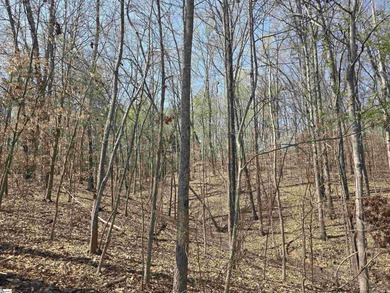 Lake Hartwell Acreage For Sale in Seneca South Carolina