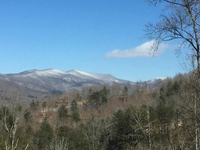 (private lake, pond, coastal) Lot For Sale in Brasstown North Carolina