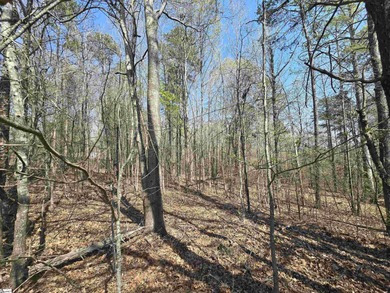 4 wooded acres for sale would make a nice size homesite for - photo 2