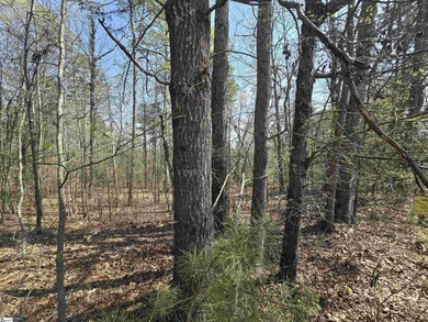 4 wooded acres for sale would make a nice size homesite for - photo 3