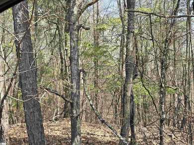 4 wooded acres for sale would make a nice size homesite for - photo 4
