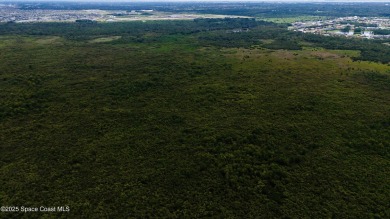 Discover a rare opportunity to own 186.59 acres (per survey) of - photo 4