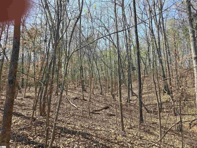 4 wooded acres for sale would make a nice size homesite for - photo 5