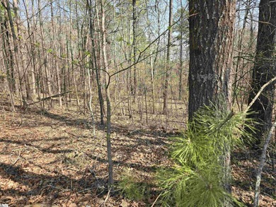 4 wooded acres for sale would make a nice size homesite for - photo 6