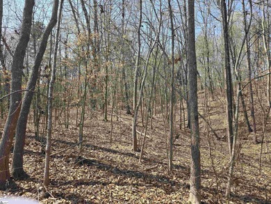 4 wooded acres for sale would make a nice size homesite for - photo 8