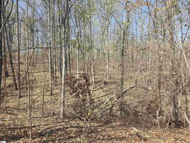 4 wooded acres for sale would make a nice size homesite for - photo 9