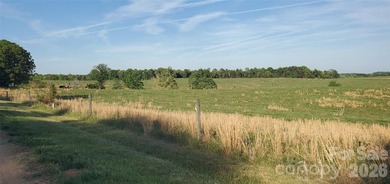 1060 acres more or less, Alexander County, NC, self sustaining - photo 12