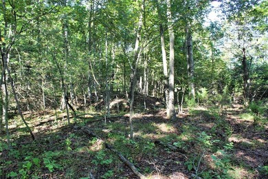 Located just 16 miles southeast of Huntsville, this 270-acre - photo 13