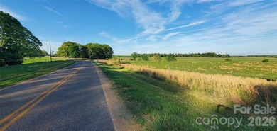 1060 acres more or less, Alexander County, NC, self sustaining - photo 13