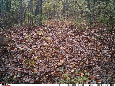 Located just 16 miles southeast of Huntsville, this 270-acre - photo 18