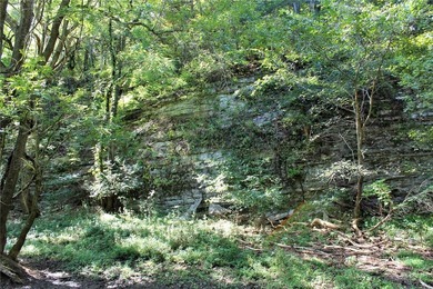 Located just 16 miles southeast of Huntsville, this 270-acre - photo 19
