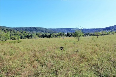 Located just 16 miles southeast of Huntsville, this 270-acre - photo 21